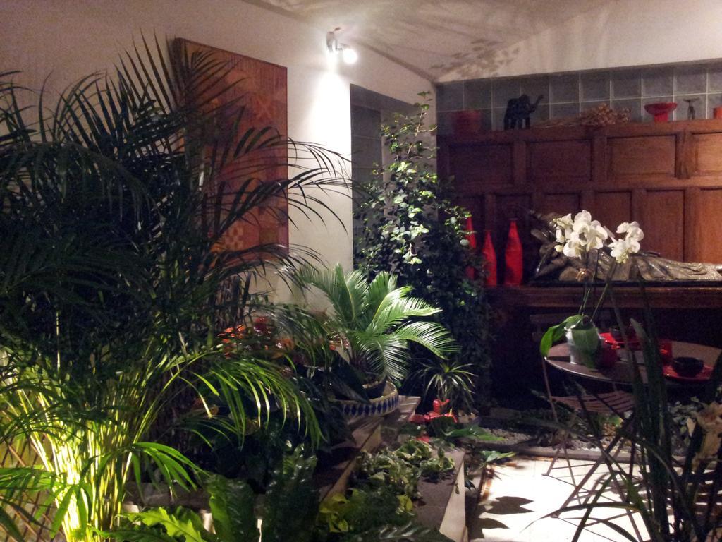 Chambres D'Hotes Le Petit Siam : Le Calme En Centre Ville Клермон-Ферран Екстер'єр фото